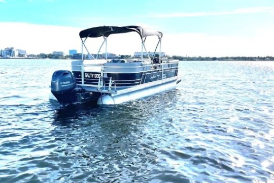 a pontoon in a body of water